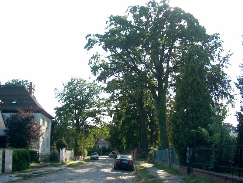 eichwalde_zillestrasse